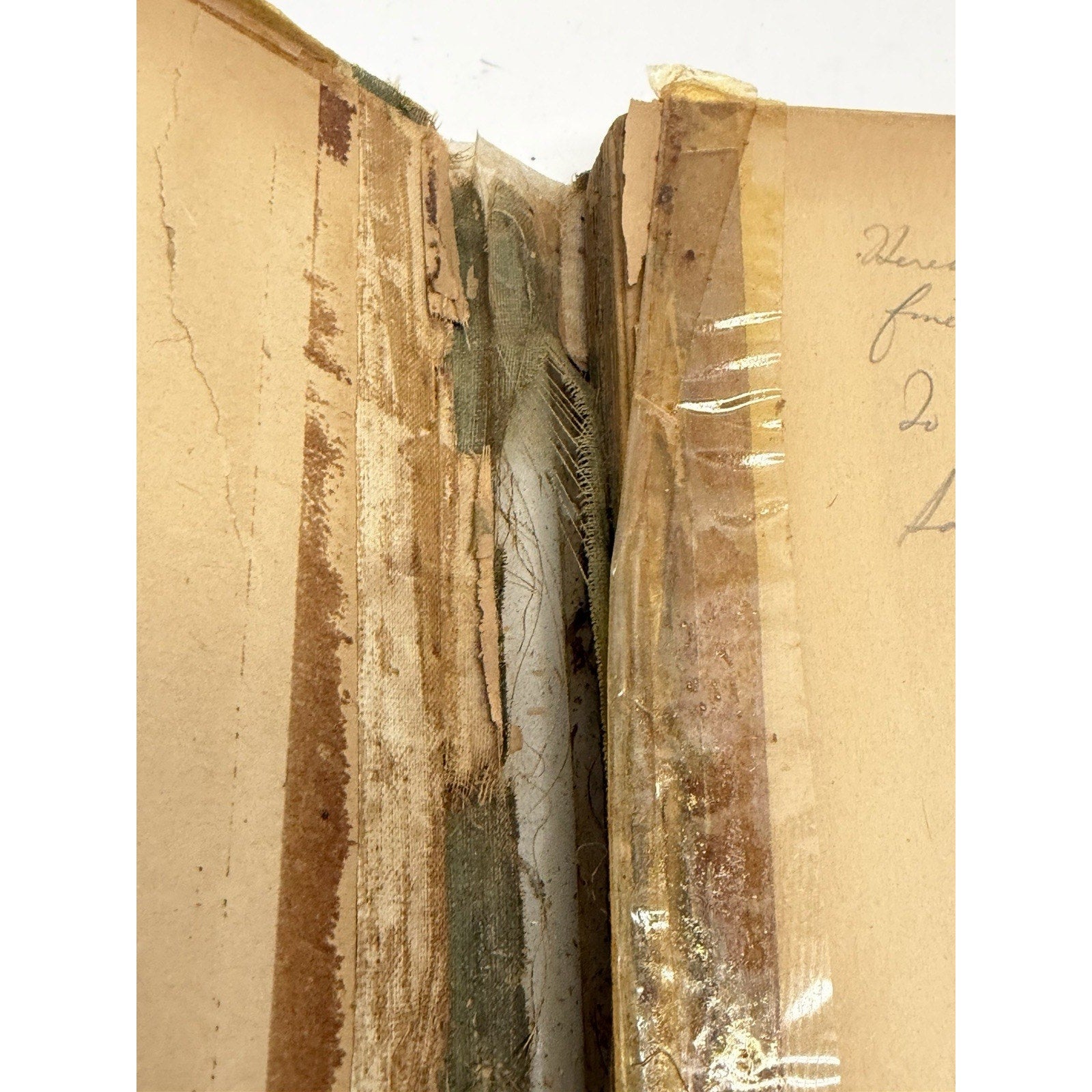 Vintage 1887 Book ROBINSON CRUSOE DE FOE ILLUSTRATED Worthington