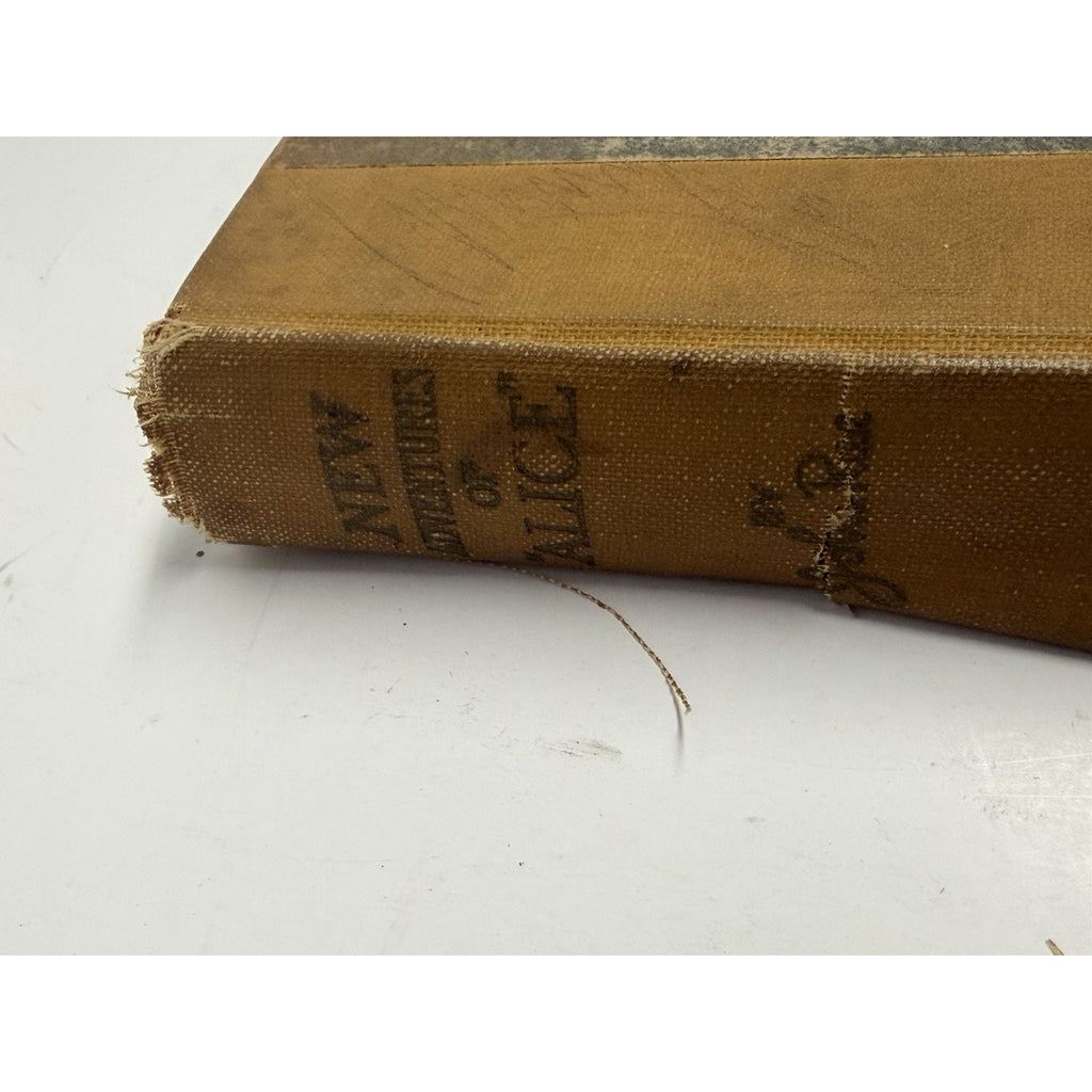 VINTAGE 1917 New Adventures of Alice, John Rae A continuation Of Wonderland