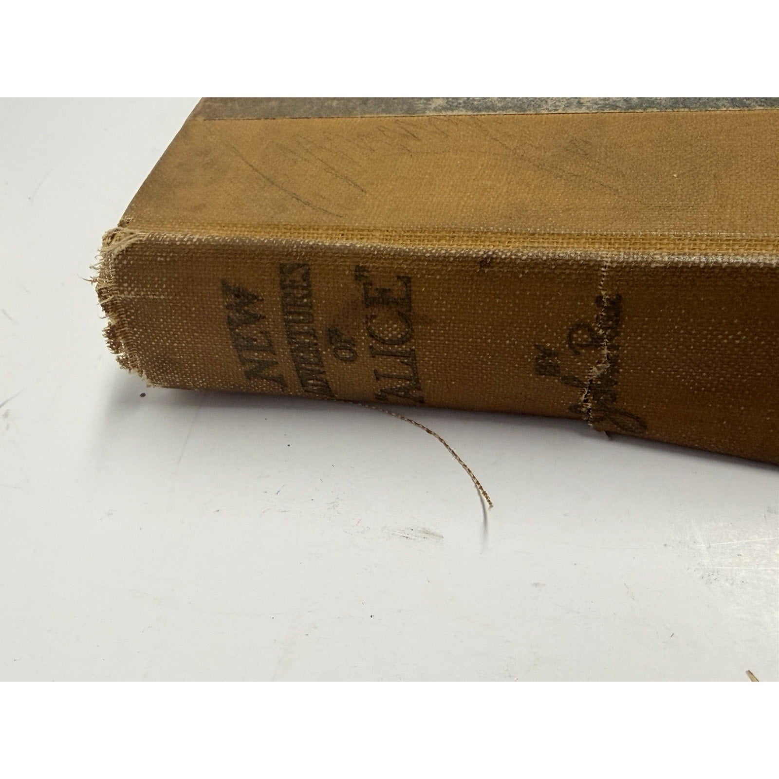 VINTAGE 1917 New Adventures of Alice, John Rae A continuation Of Wonderland
