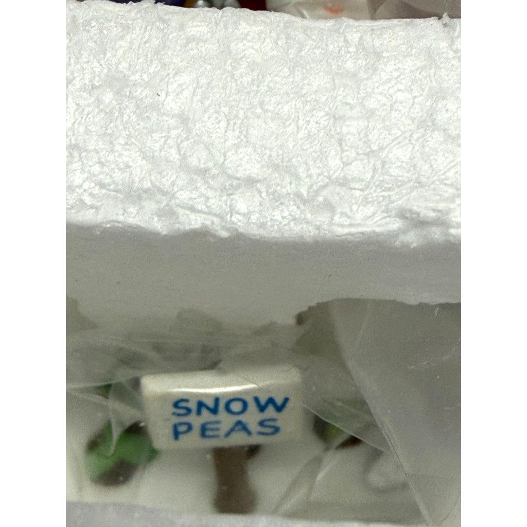 Vintage NOS 2002 Department 56 North Pole Series #56.56840 FROZEN VEGGIES