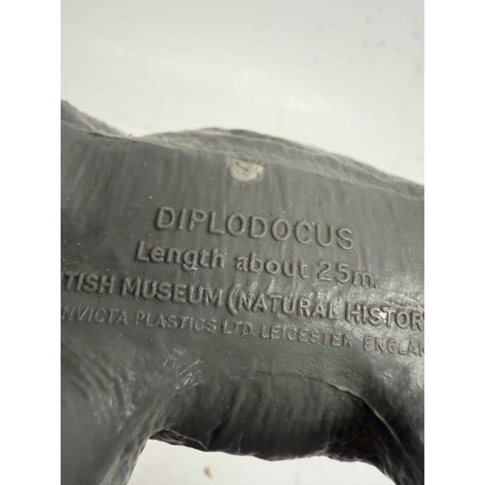 Vintage Diplodocus - British Natural History Museum - 1974 - Dippy