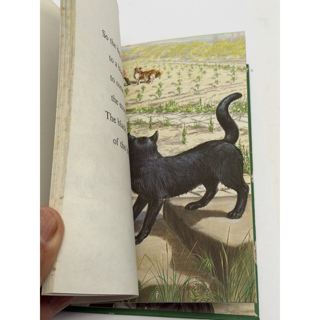 Vintage Ladybird Book The Enormous Turnip Series 606D Well-loved Tales