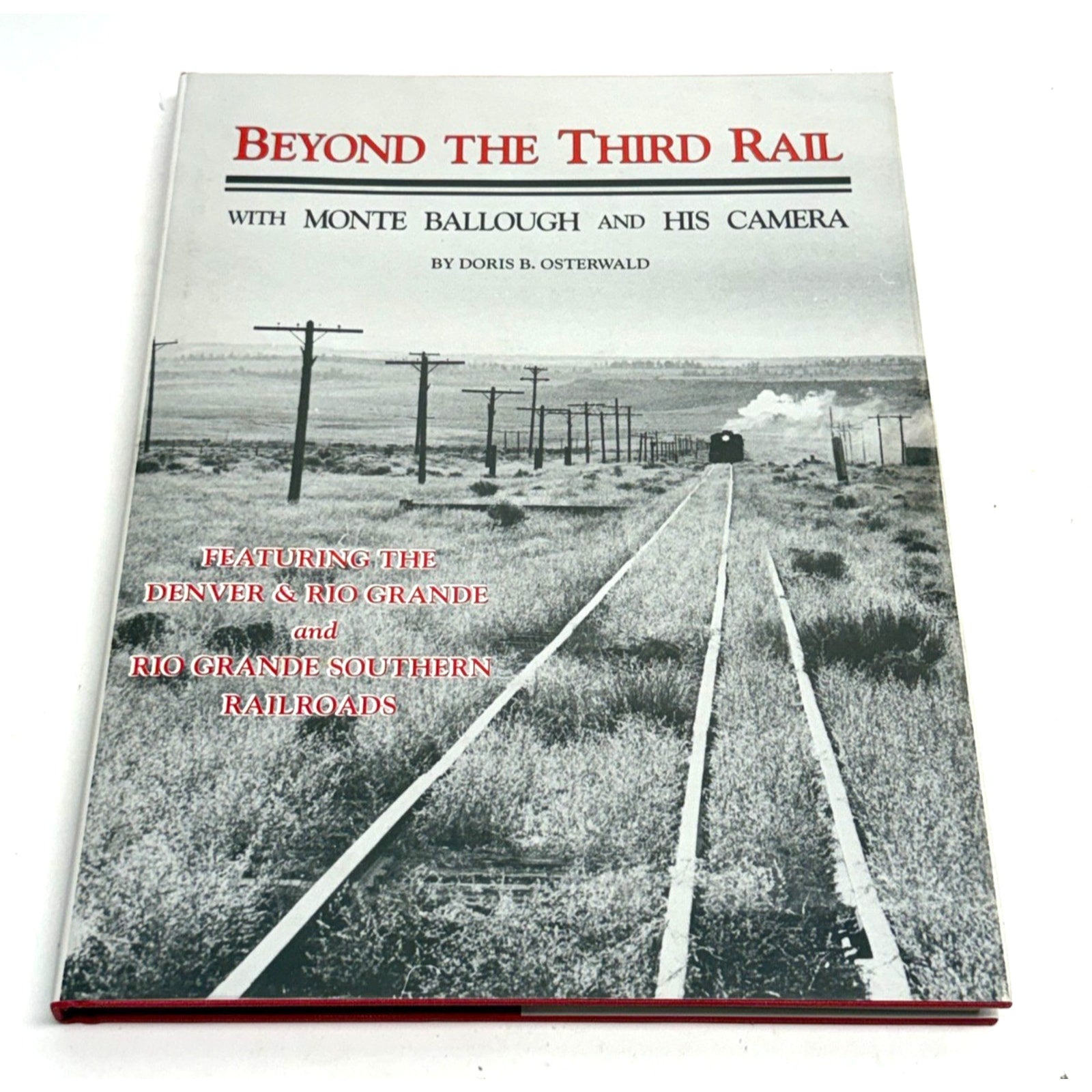 Vintage Beyond The Third Rail by Doris Osterwald