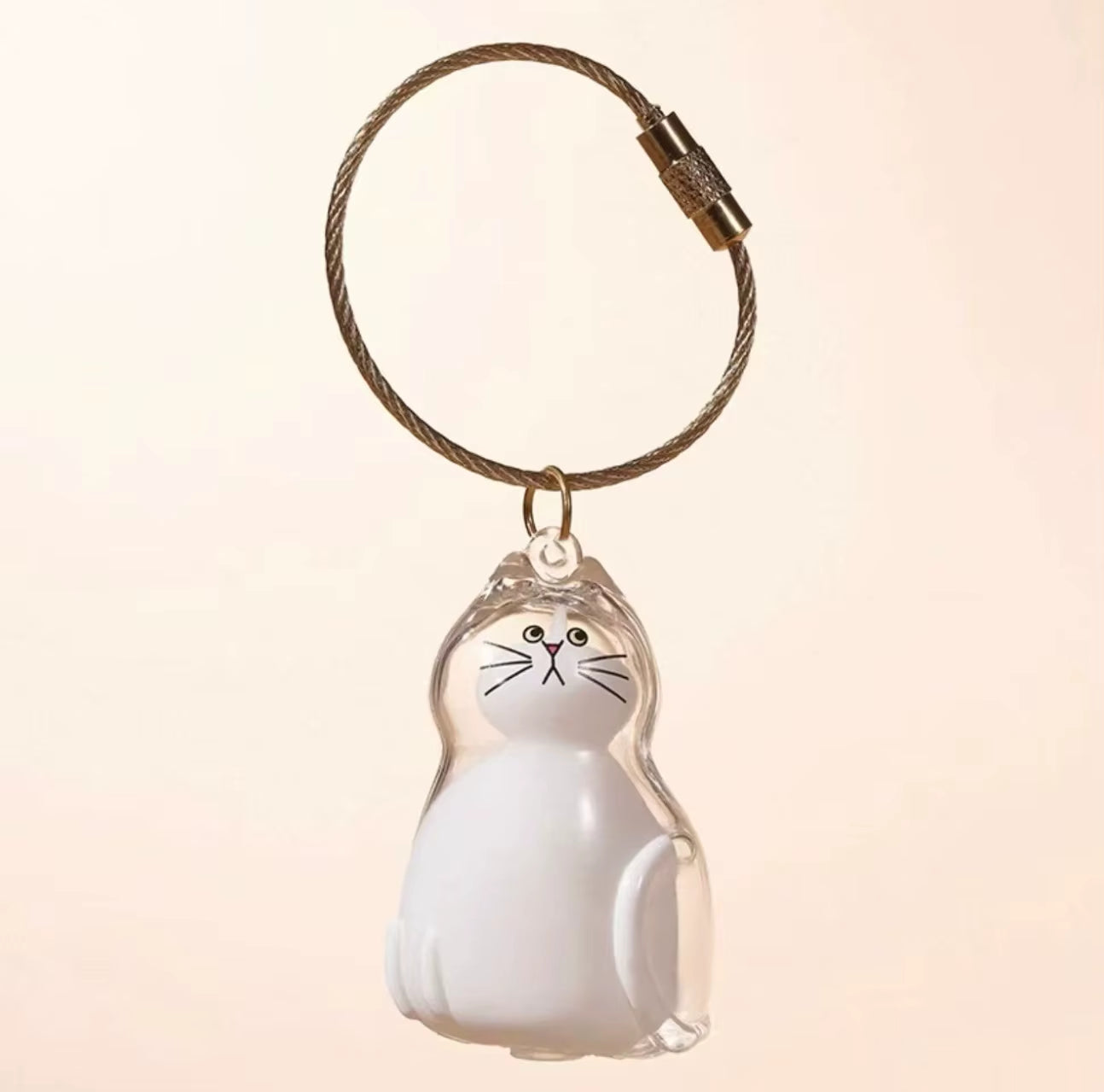 Personalized Transparent Cat Hair Keepsake Keychain – Pet Fur Memorial Pendant for Cat Lovers | Cute & Meaningful Souvenir Gift 🐾✨