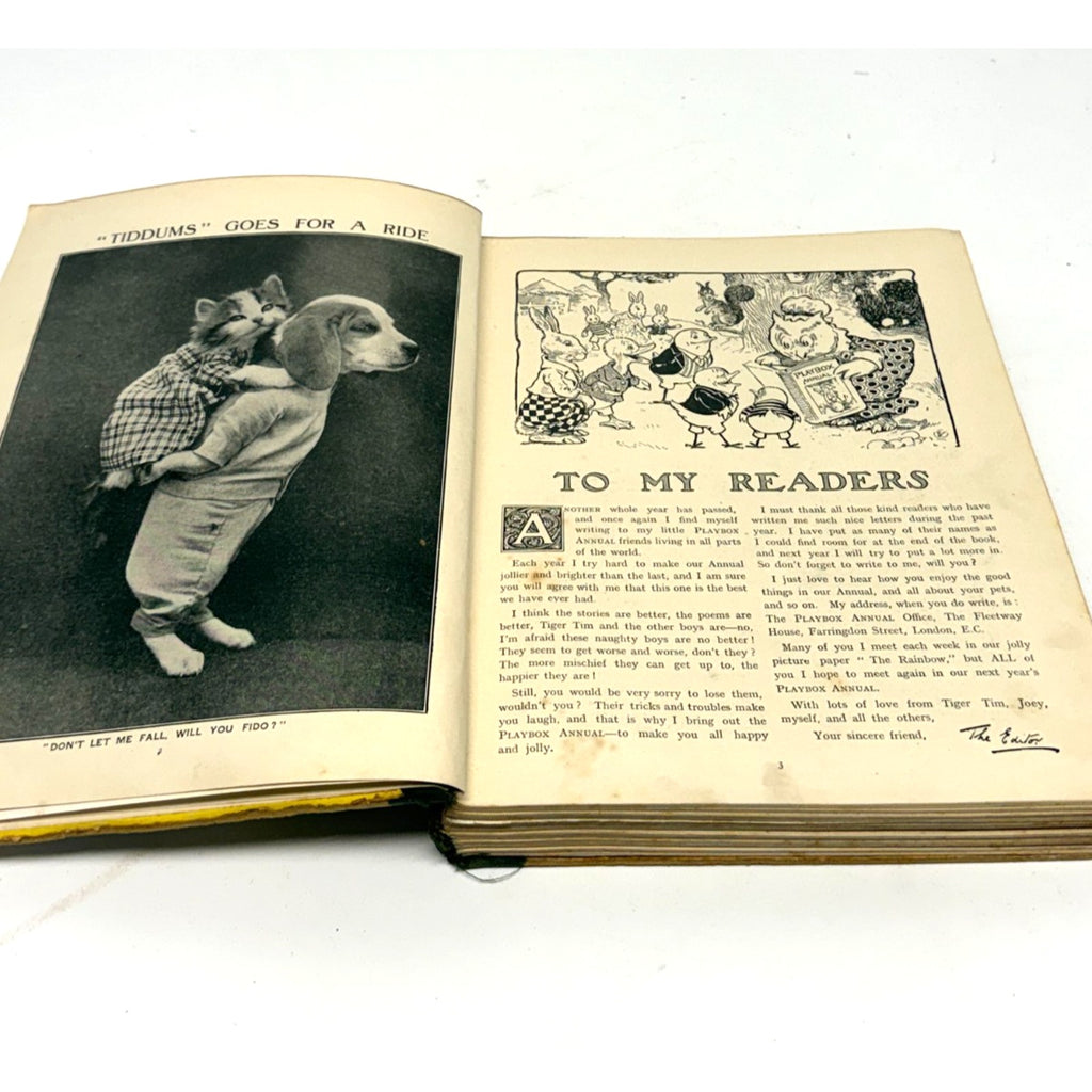 Vintage Antique Playbox Annual 1917 Childrens WWI Story Book