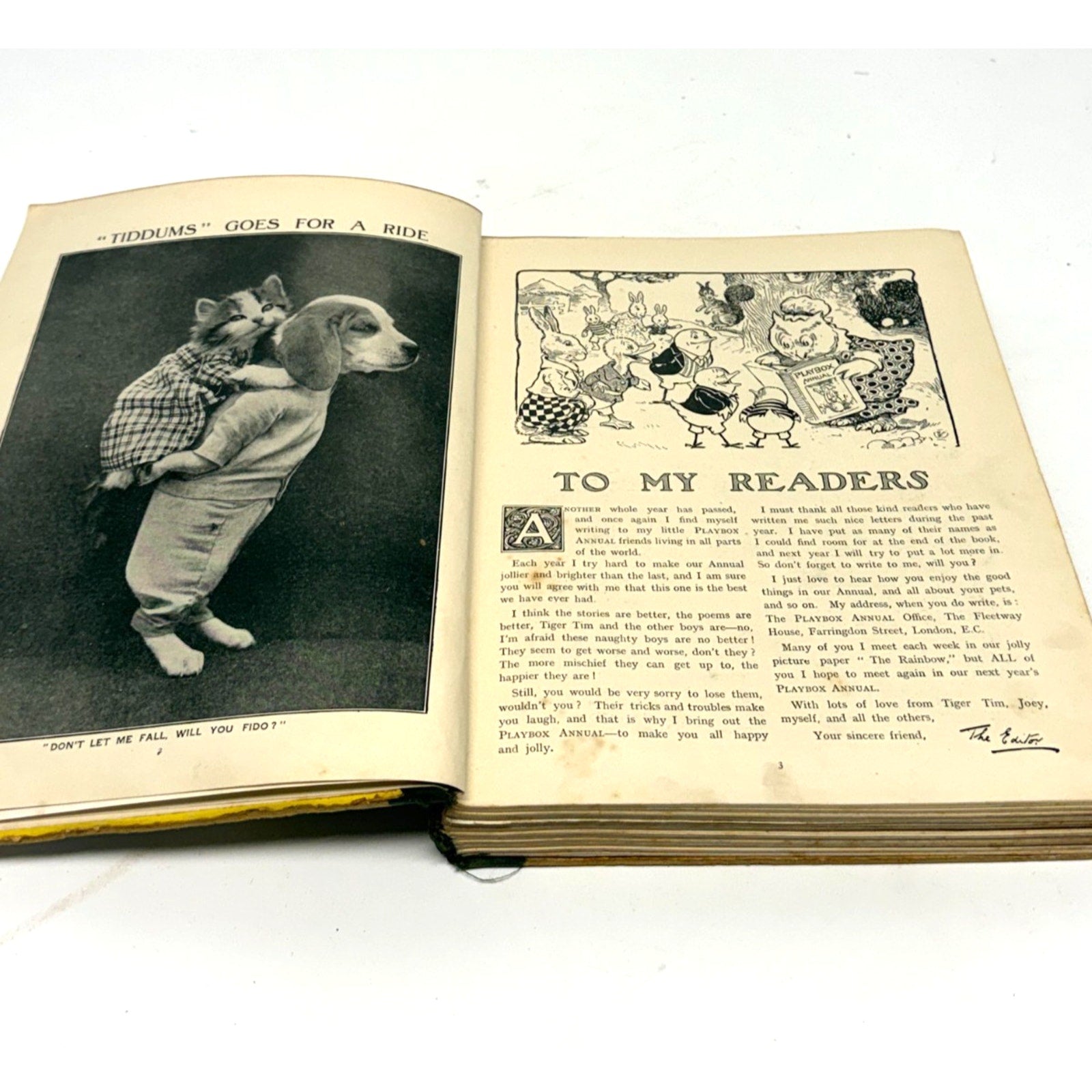 Vintage Antique Playbox Annual 1917 Childrens WWI Story Book