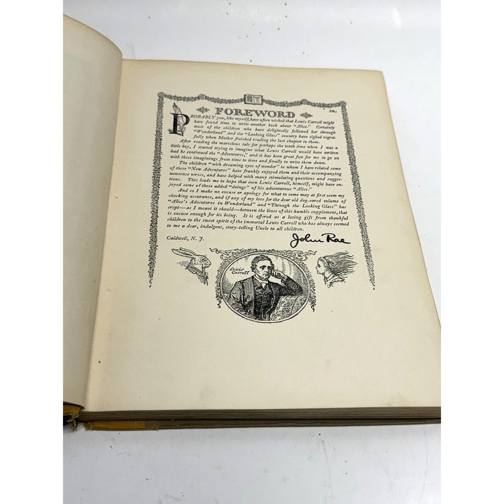 VINTAGE 1917 New Adventures of Alice, John Rae A continuation Of Wonderland