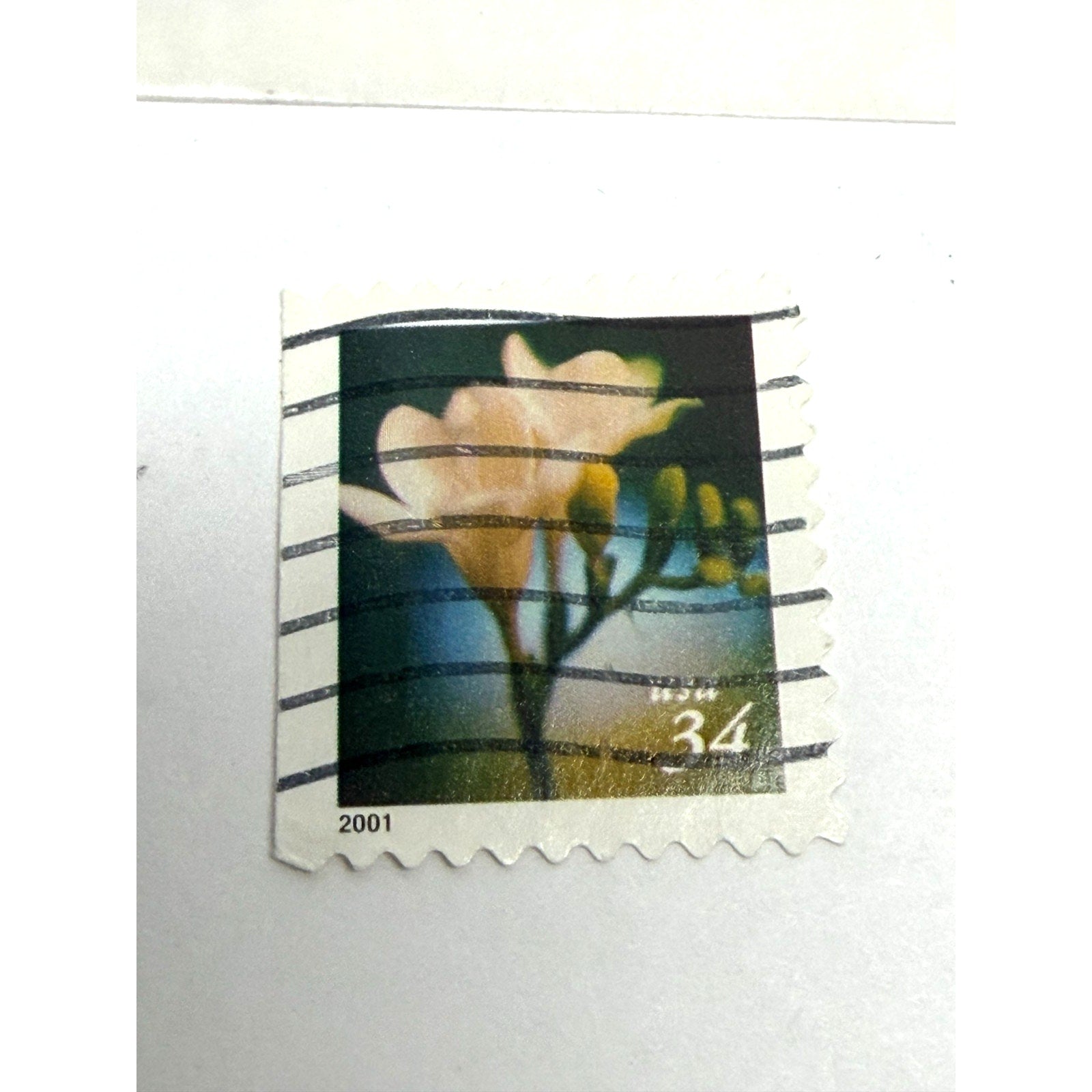 Vtg Mystic Stamp Co. US1-2: 2000 Flowers Stamp Set (Used) - Scott #3487-3490