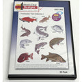 Vintage NEW Amazing Designs Floppy Disk ADC1365 FreshwaterFish Collection 1