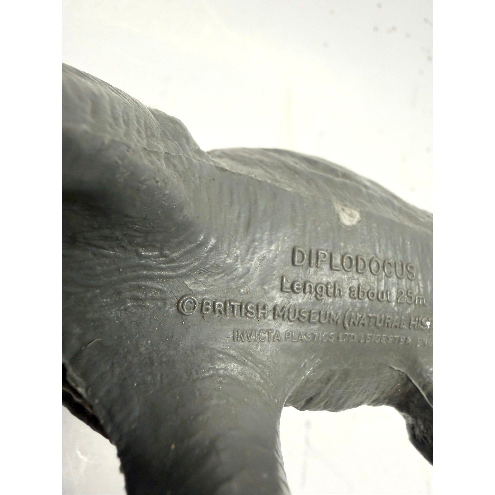 Vintage Diplodocus - British Natural History Museum - 1974 - Dippy