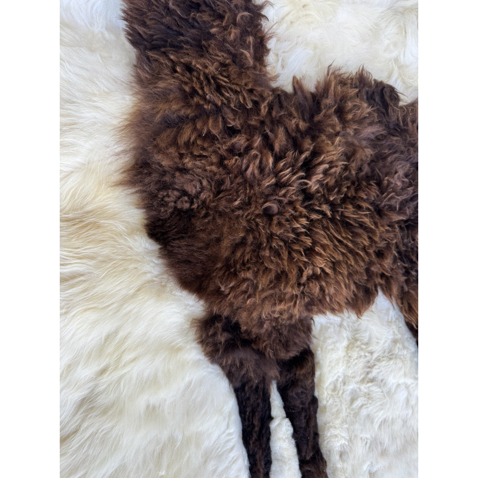 Vintage RARE Alpaca Llama Fur Throw Rug Handmade Wall Hanging Tapestry 60”X 46"